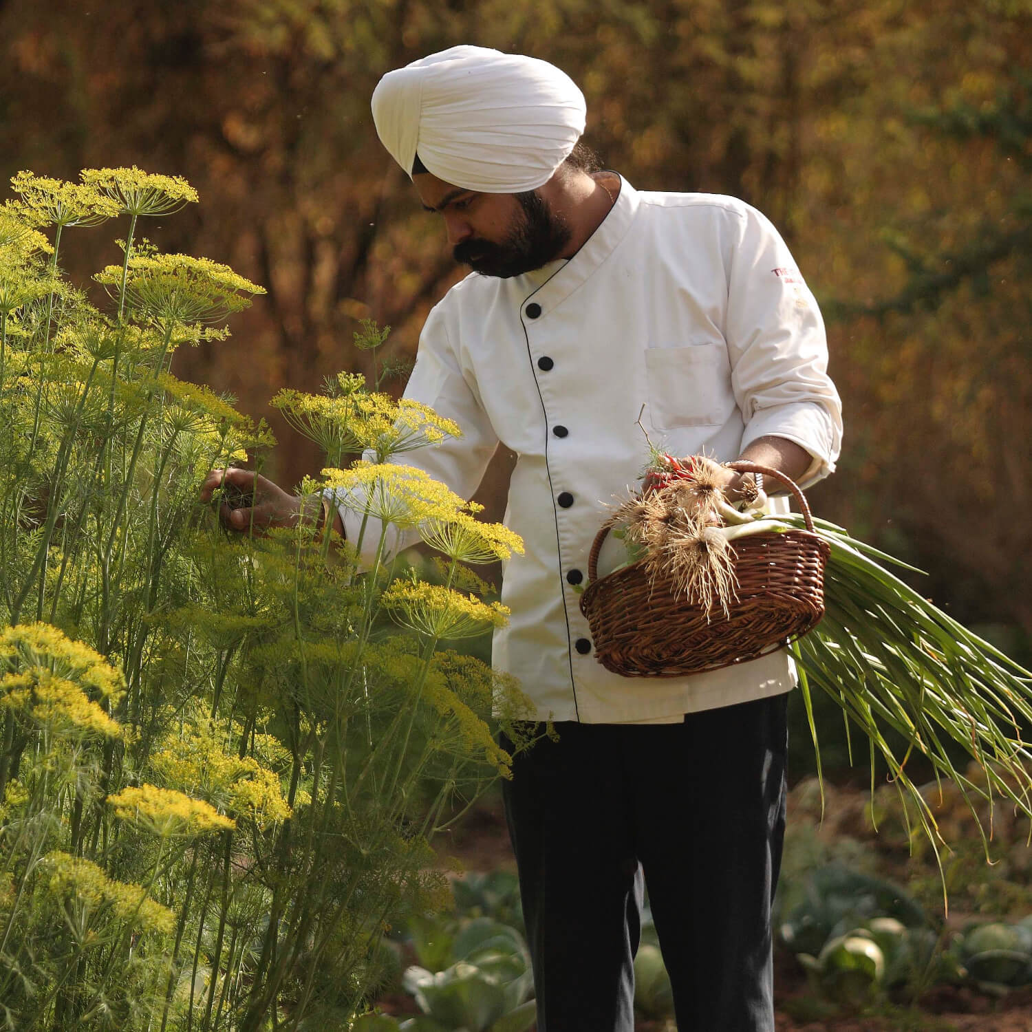 SUJÁN Sher Bagh - Farm to Table