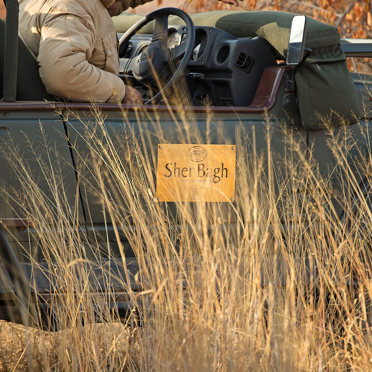 SUJÁN Sher Bagh - Game Drives