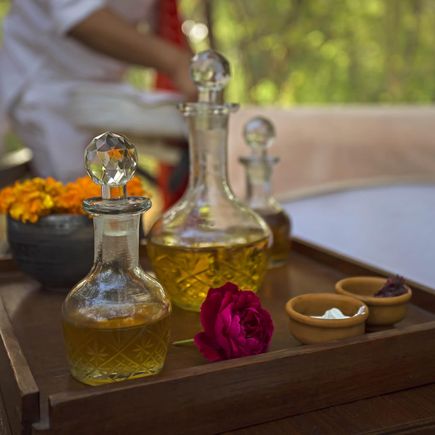 SUJÁN Sher Bagh - Spa & Wellness