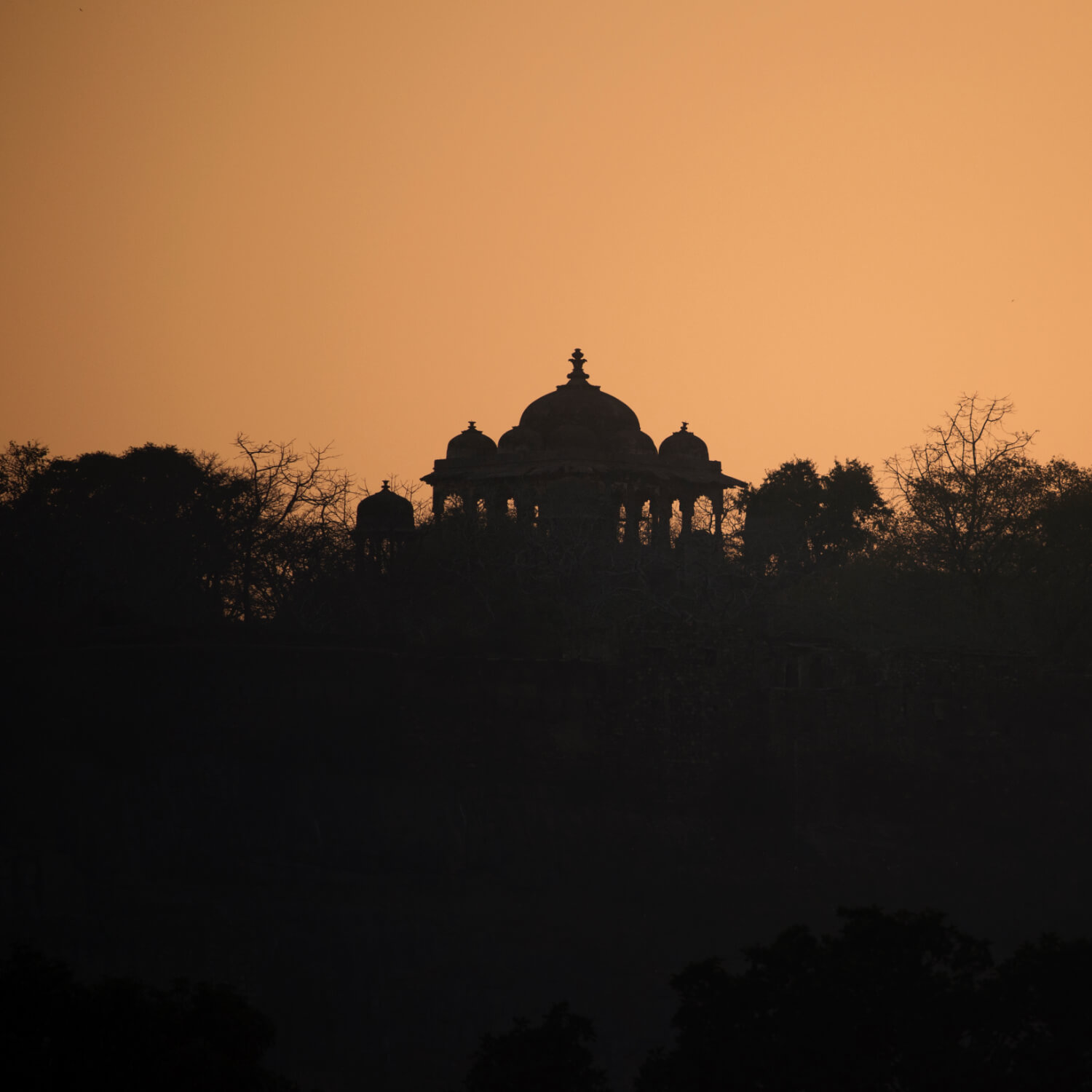 SUJÁN Sher Bagh - Ranthambhore Fort Ramble