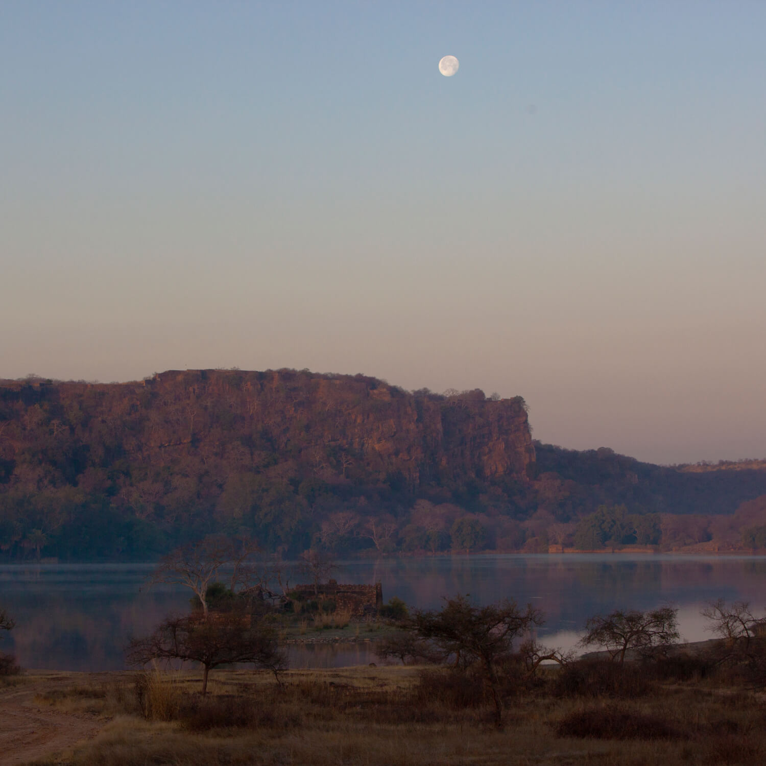 SUJÁN Sher Bagh - Ranthambhore Fort Ramble