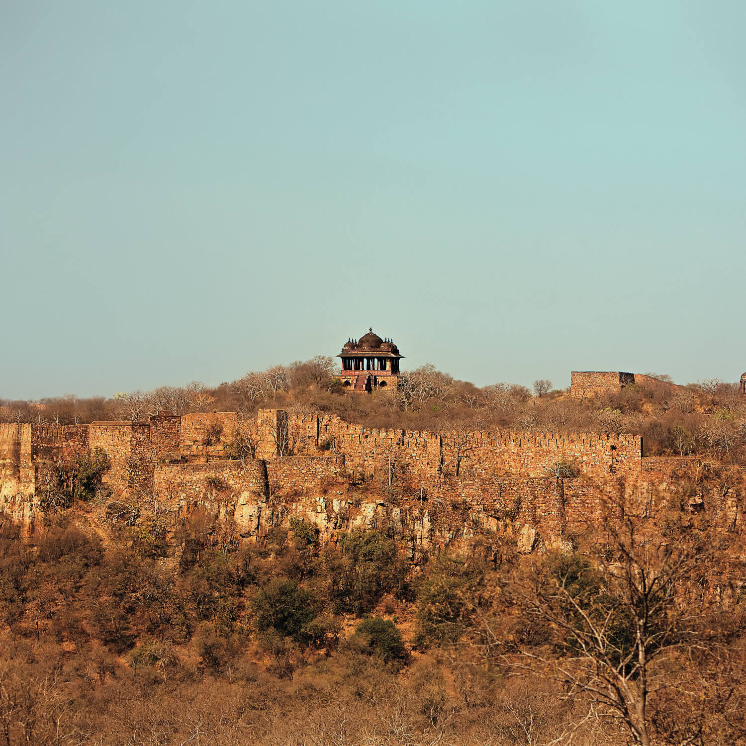 SUJÁN Sher Bagh - Ranthambhore Fort Ramble