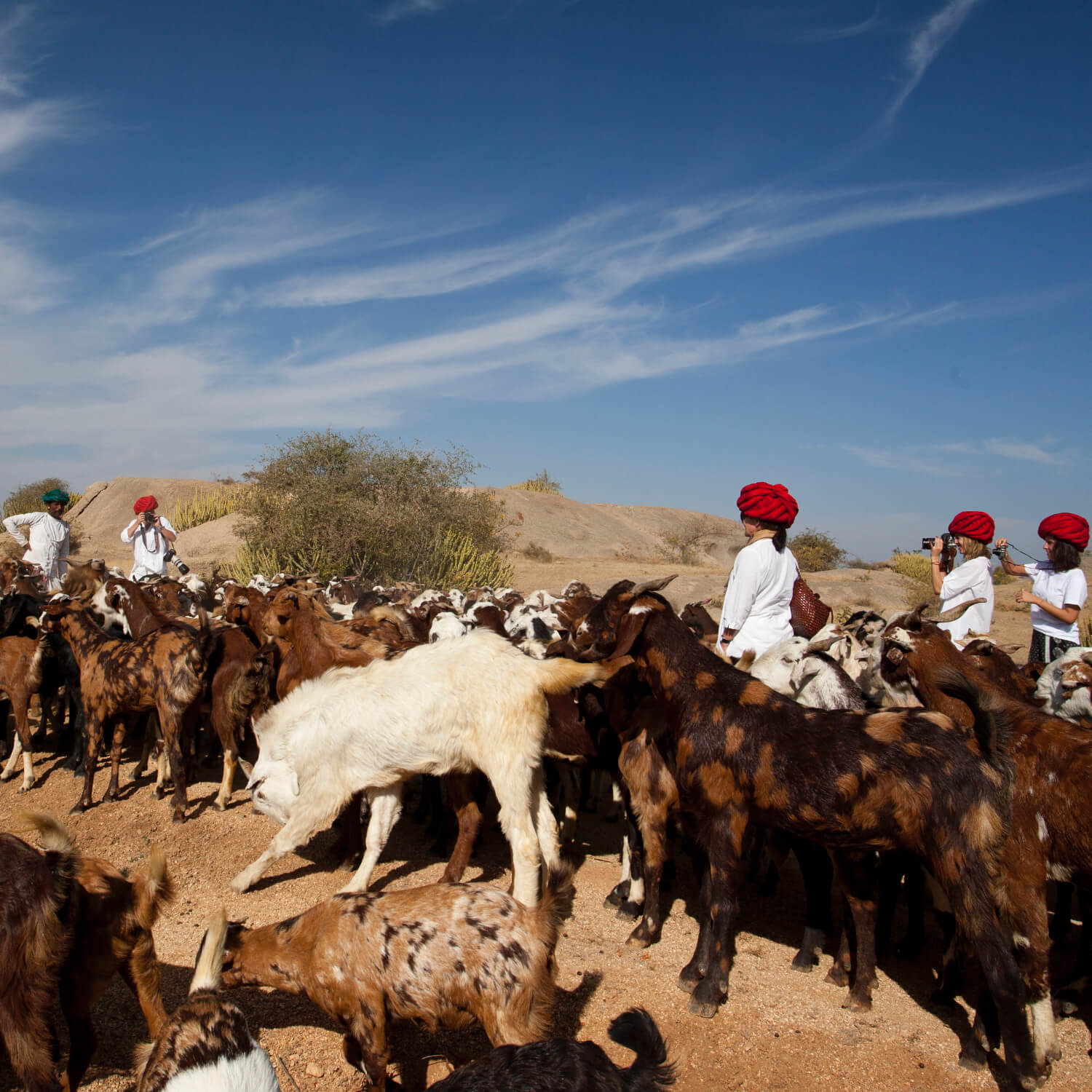 SUJÁN JAWAI - Rabari Walk