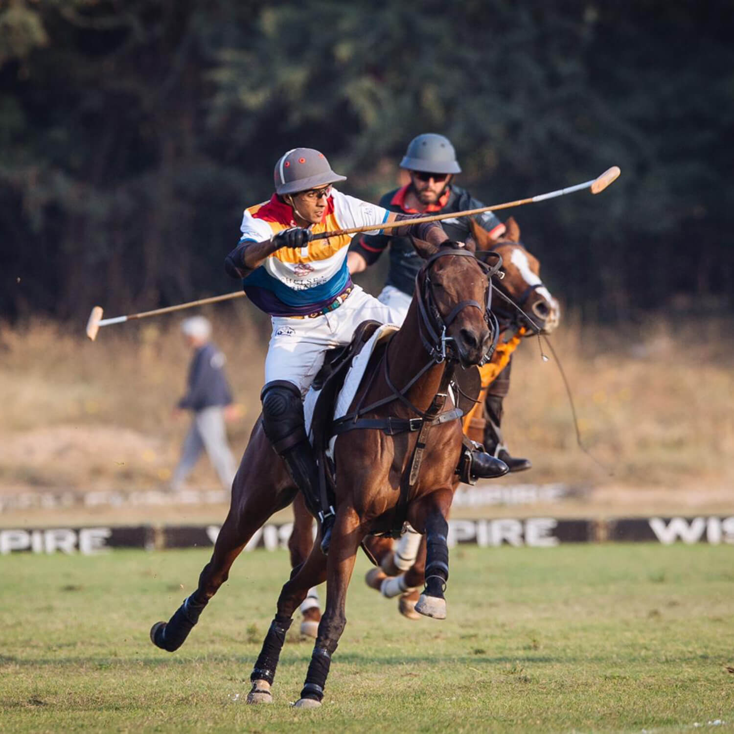 The Royal Polo Experience