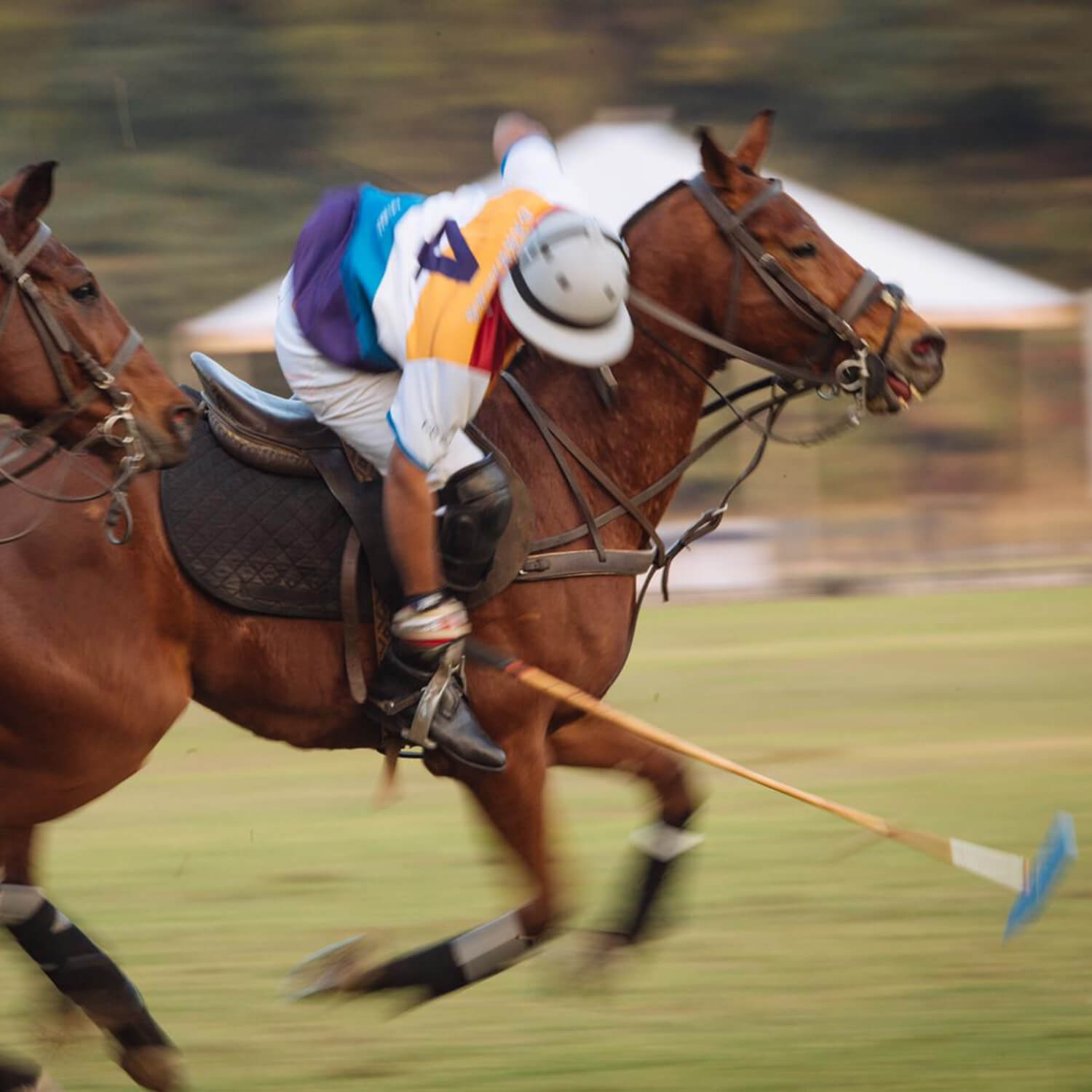 The Royal Polo Experience