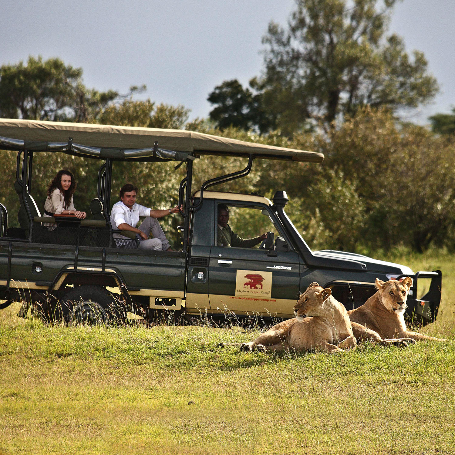 Game Drives