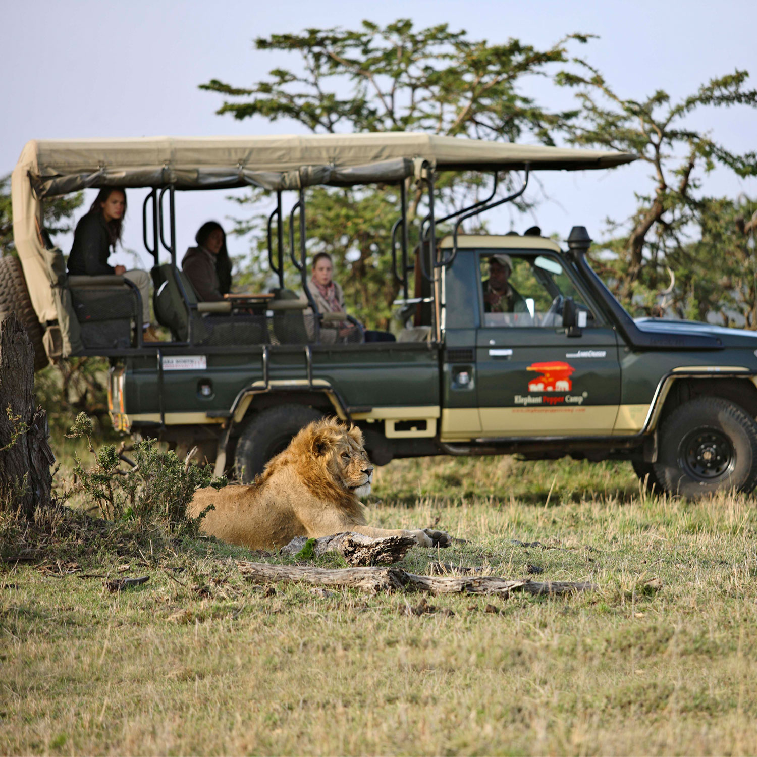 Game Drives