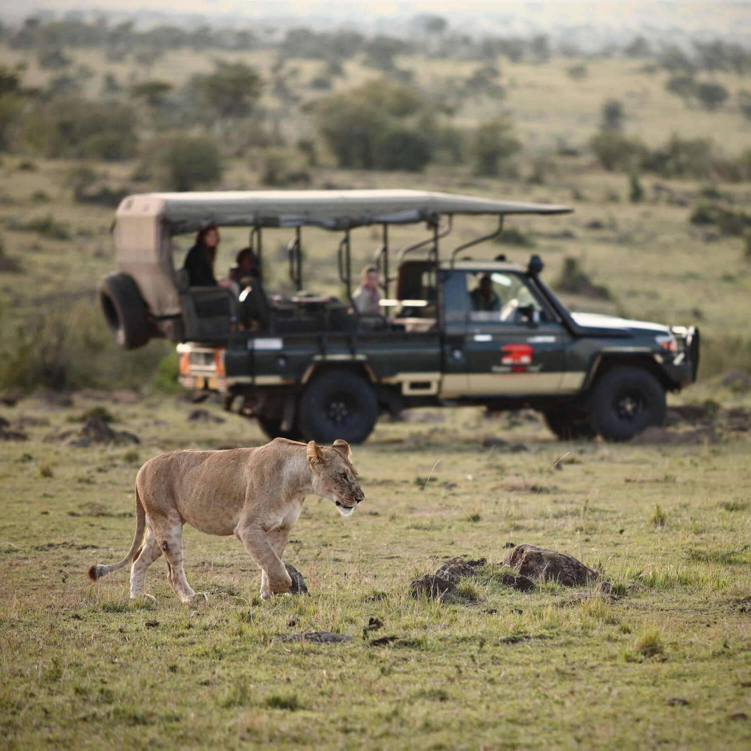 Game Drives