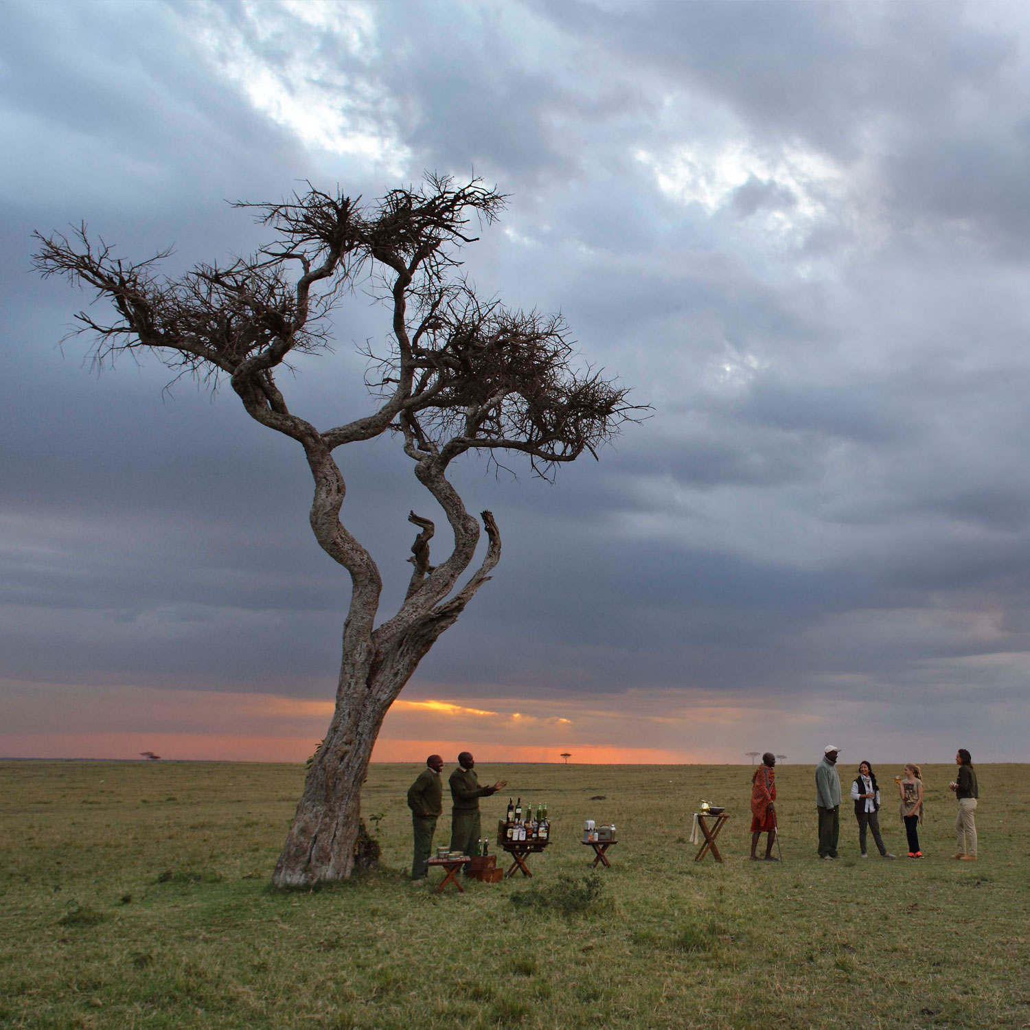 Bush Breakfasts & Sundowners