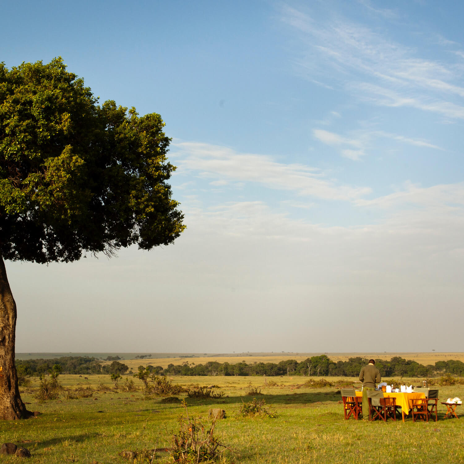 Bush Breakfasts & Sundowners