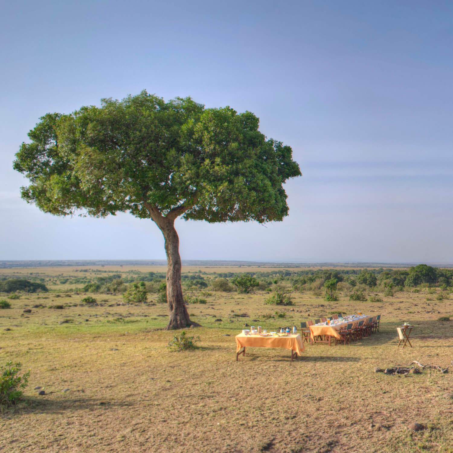 Bush Breakfasts & Sundowners