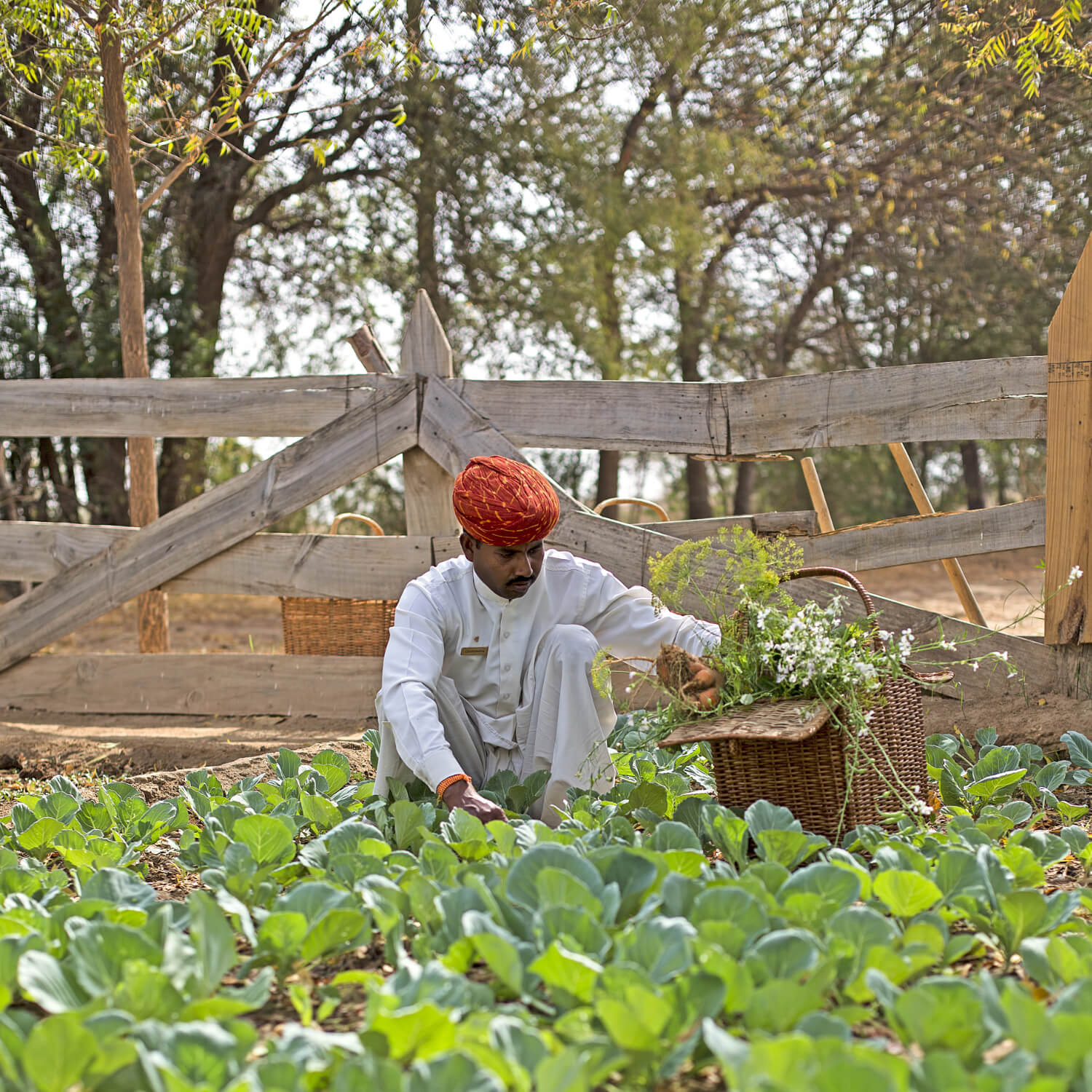 SUJÁN The Serai - Farm to Table