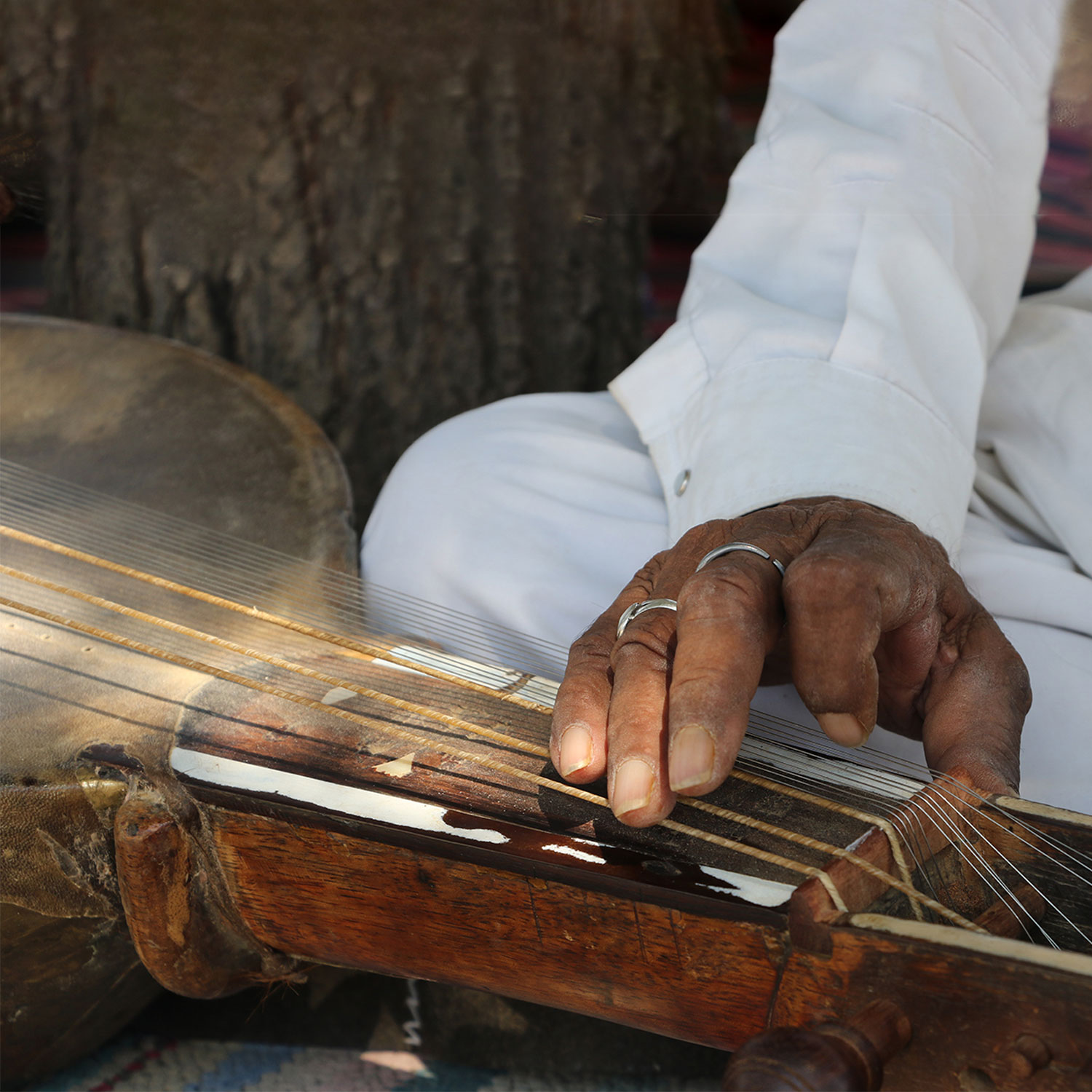 SUJÁN The Serai - Traditional Folk Recitals