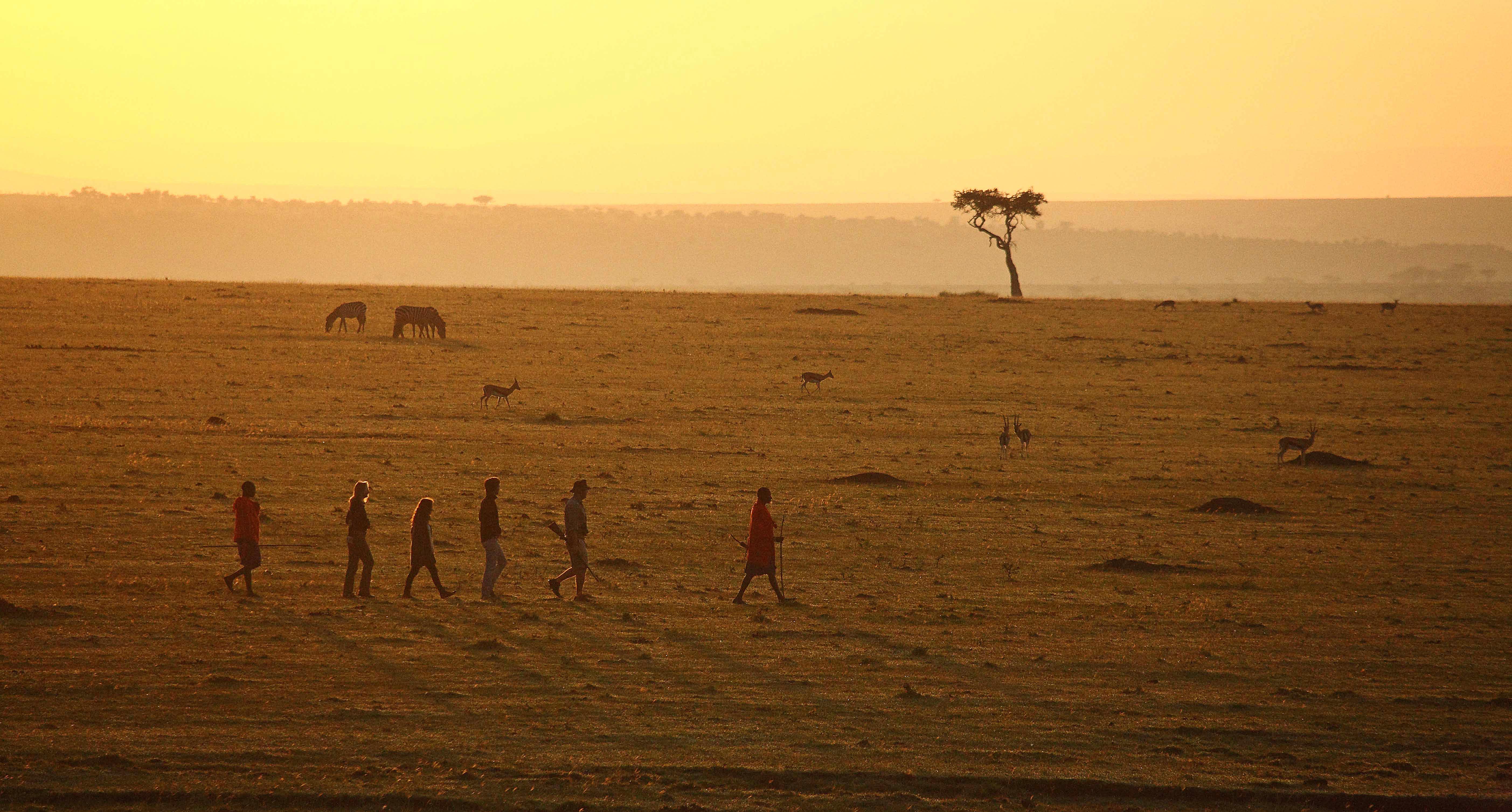 Walking Safaris