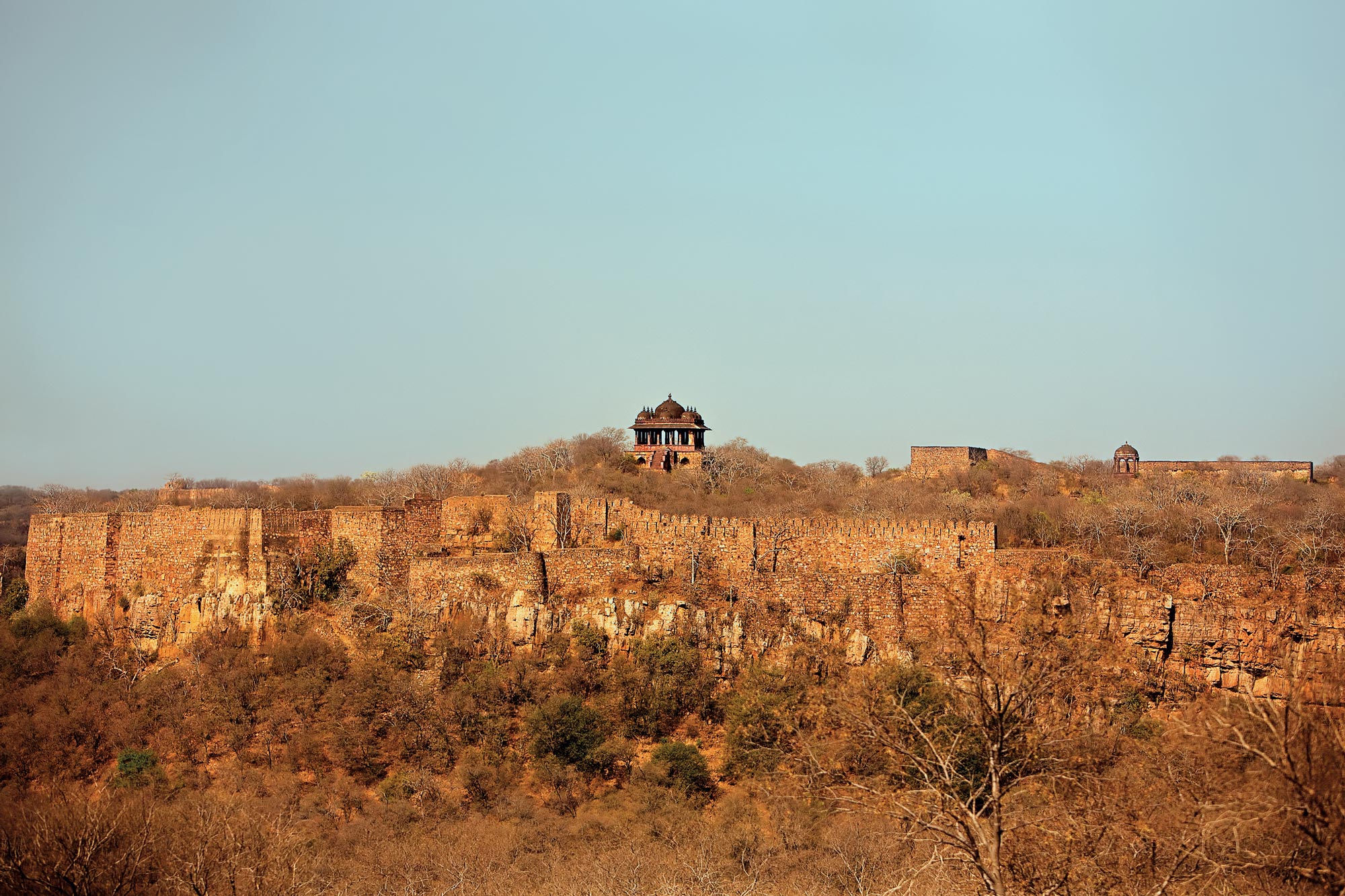 The Ranthambhore Fort