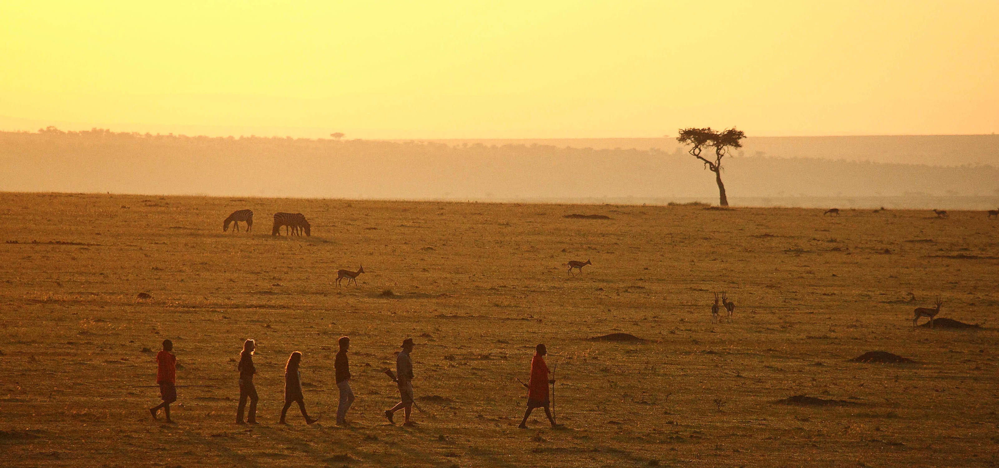 Elephant Pepper Camp