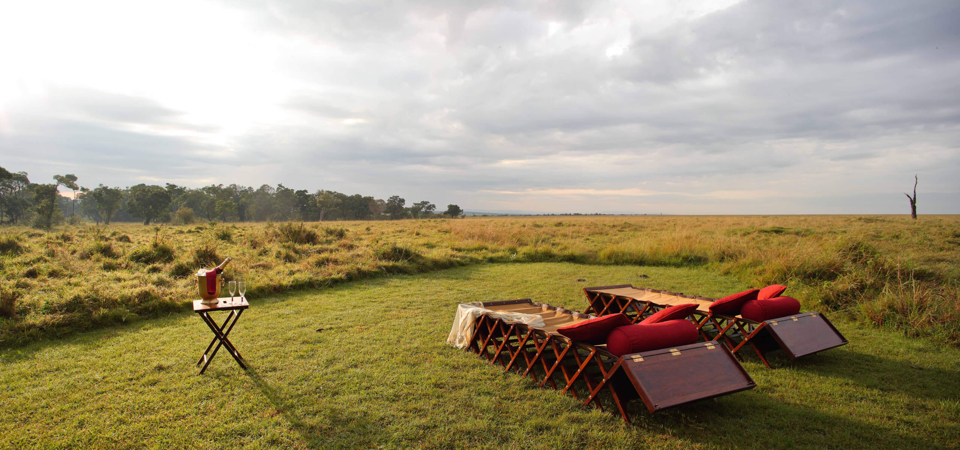 Elephant Pepper Camp