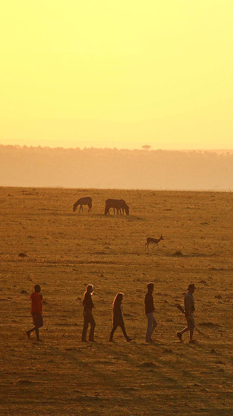 Elephant Pepper Camp